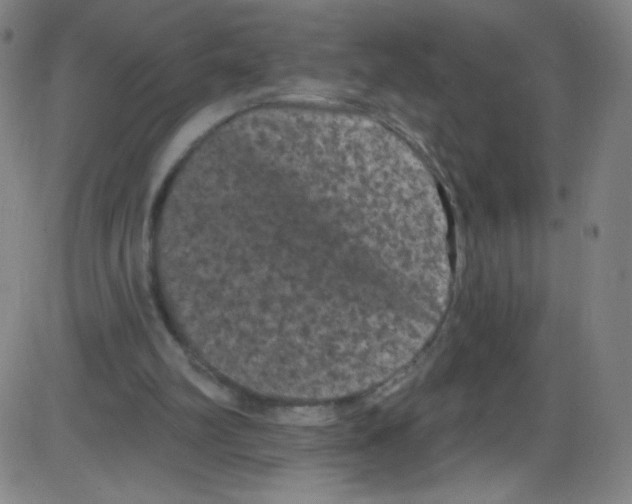 X0000084050102200703161907