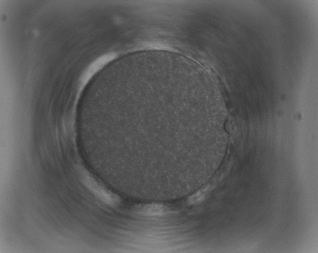 X0000084050104200703161907