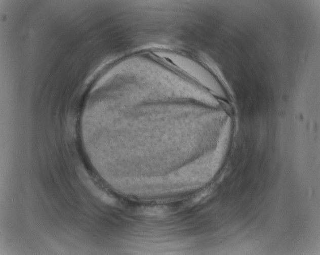 X0000084050106200703161907