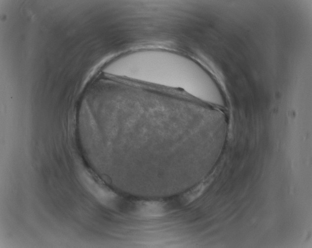 X0000084050107200703161907