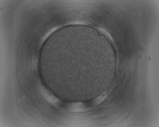 X0000084050108200703161907