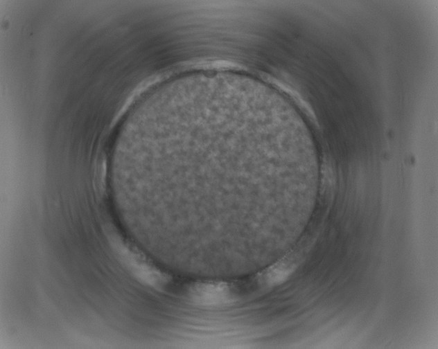 X0000084050110200703161907