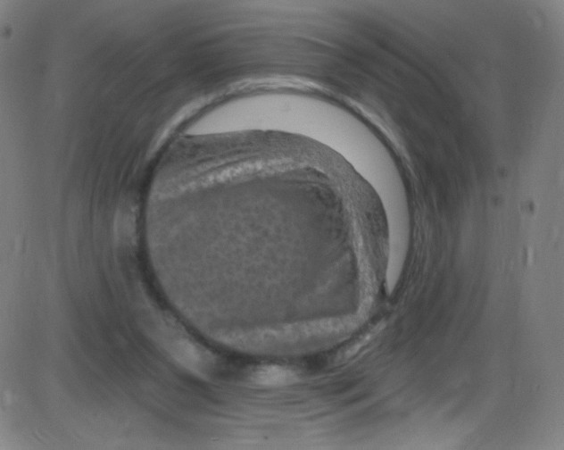 X0000084050111200703161907