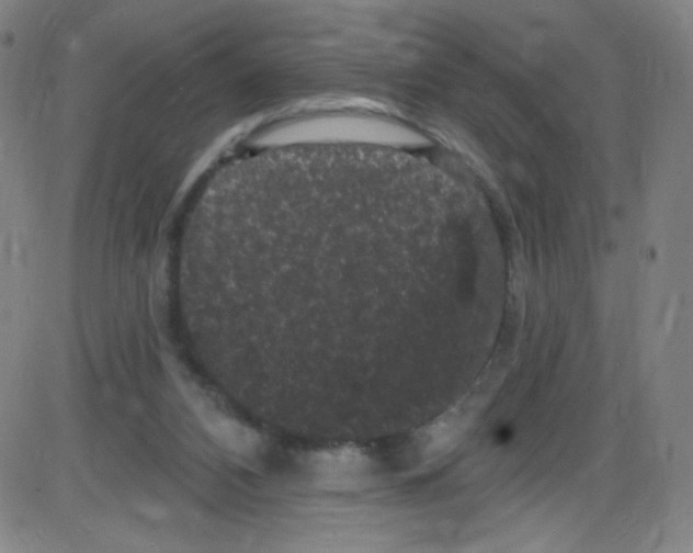 X0000084050112200703161907