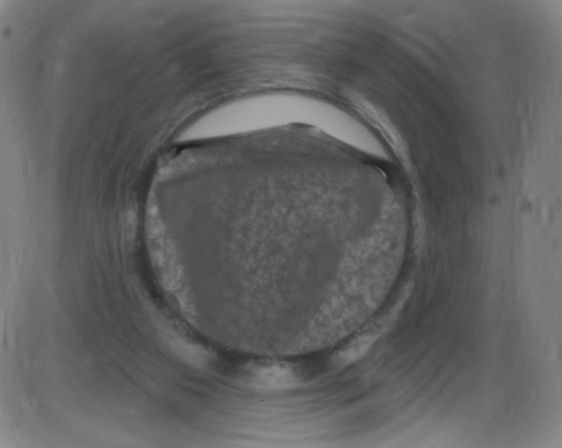 X0000084050113200703161907