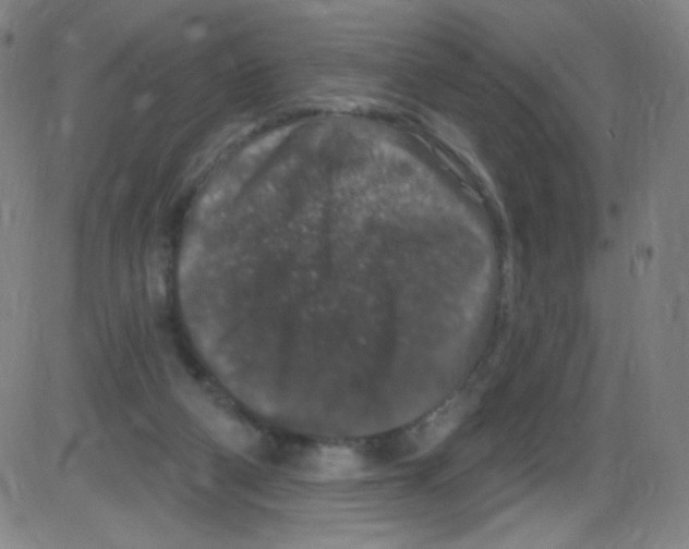 X0000084050114200703161907