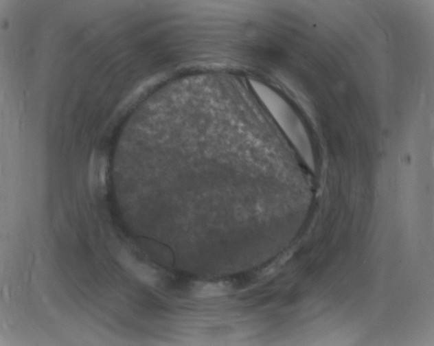 X0000084050115200703161907