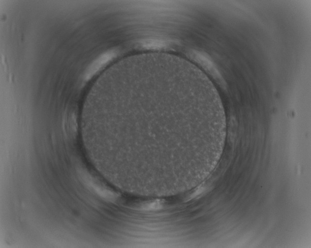 X0000084050116200703161907