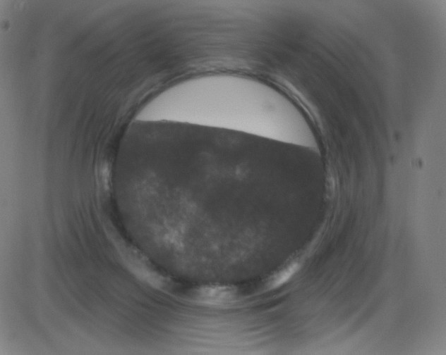 X0000084050117200703161907