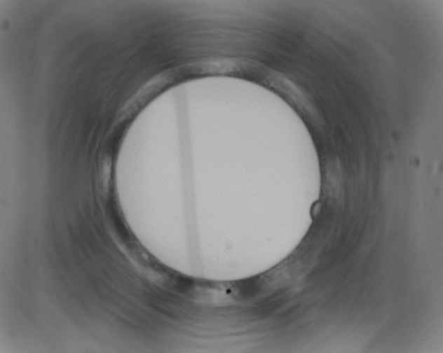 X0000084050118200703161907