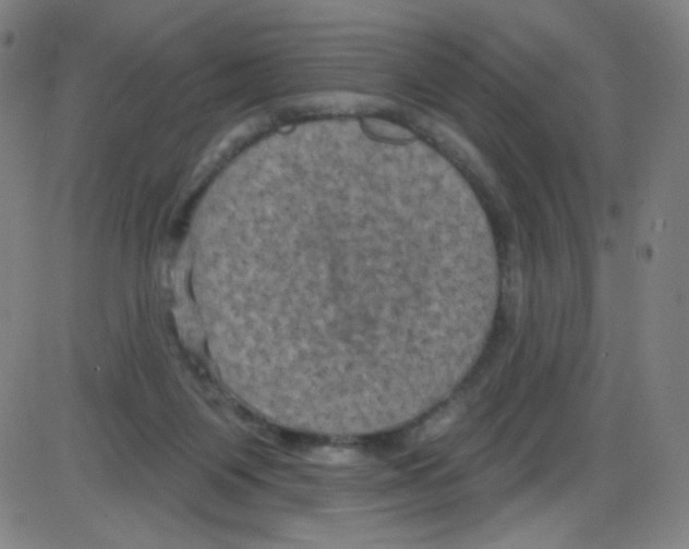 X0000084050119200703161907