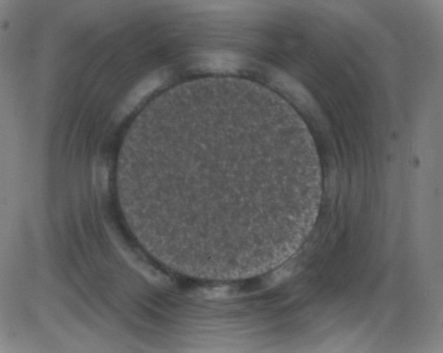 X0000084050120200703161907