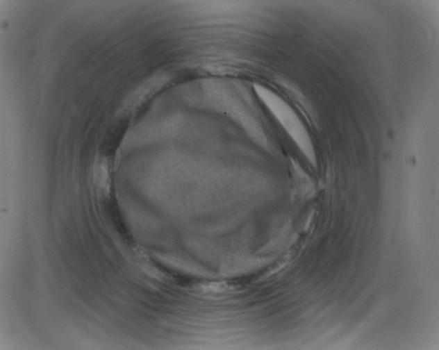 X0000084050121200703161906