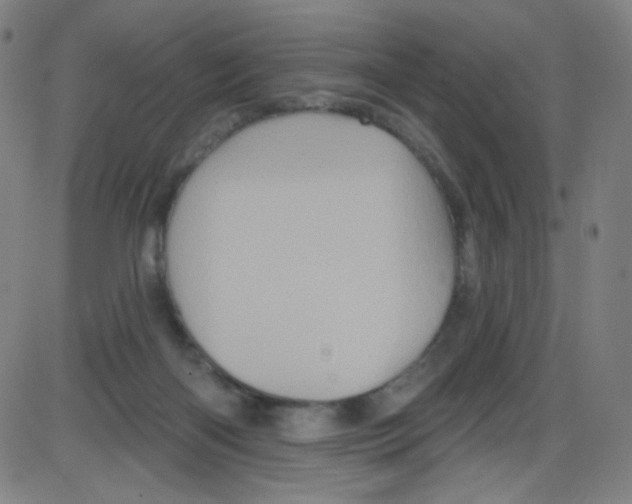 X0000084050122200703161906