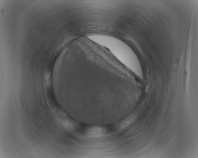 X0000084050123200703161906