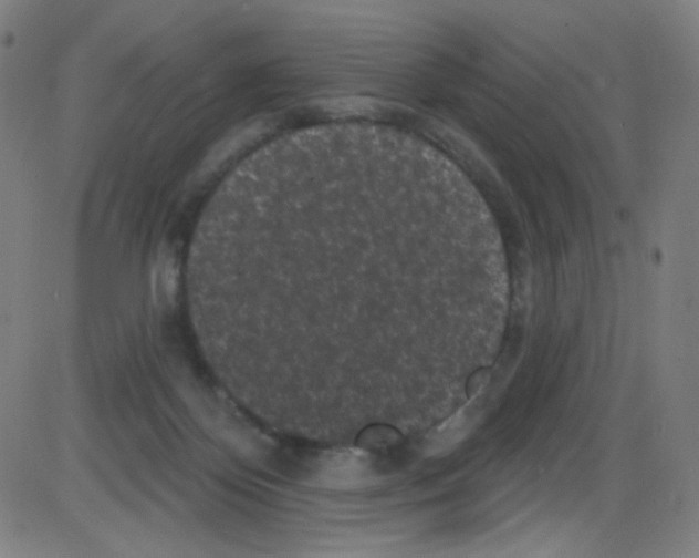 X0000084050124200703161906