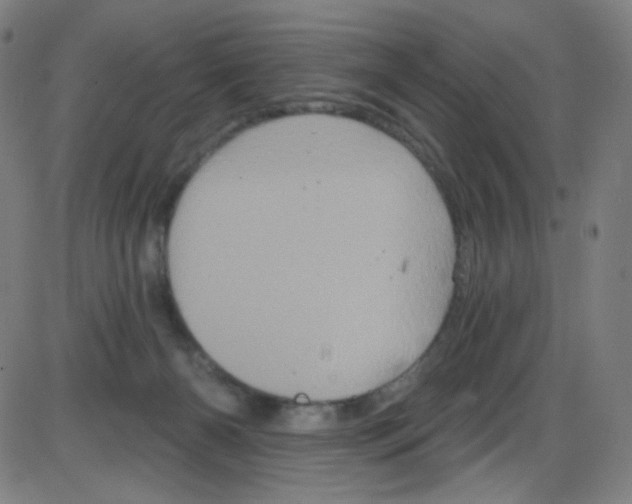 X0000084050126200703161906