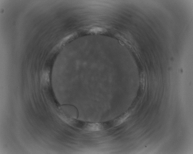 X0000084050127200703161906