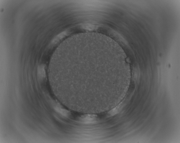 X0000084050128200703161906