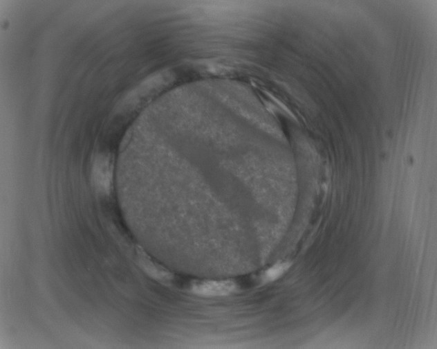 X0000084050129200703161906