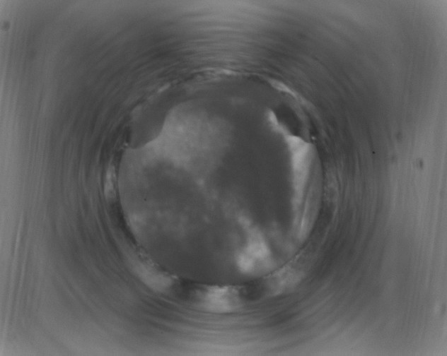 X0000084050130200703161906