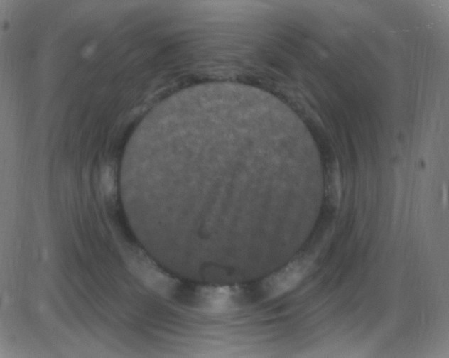 X0000084050131200703161906