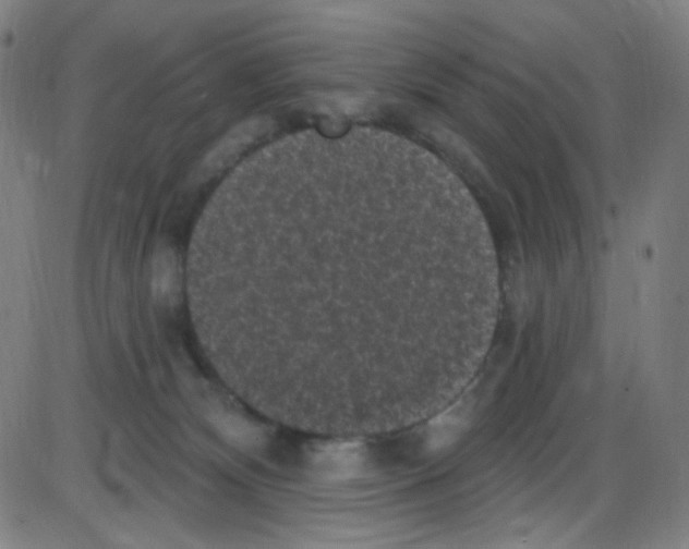 X0000084050132200703161906