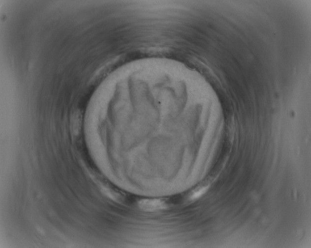 X0000084050133200703161906