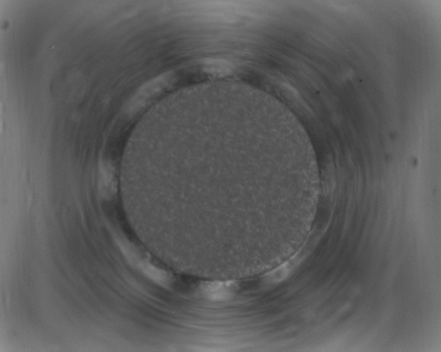 X0000084050136200703161906