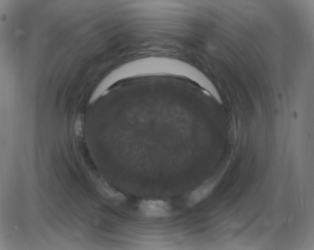 X0000084050137200703161906