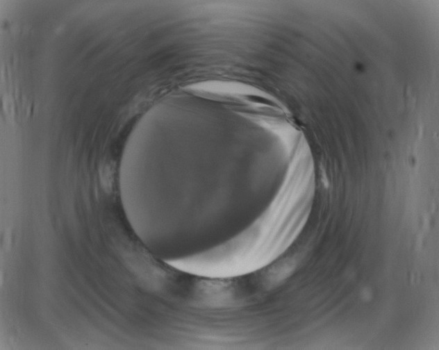 X0000084050139200703161906