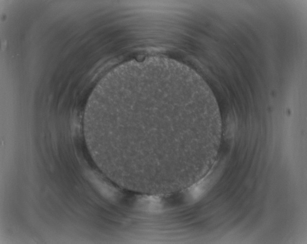 X0000084050140200703161906