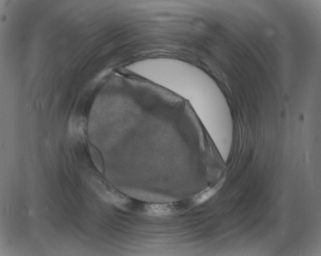 X0000084050141200703161906