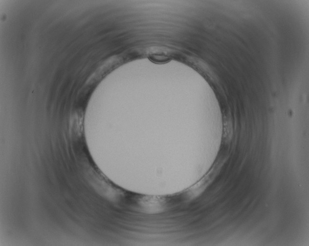 X0000084050142200703161906