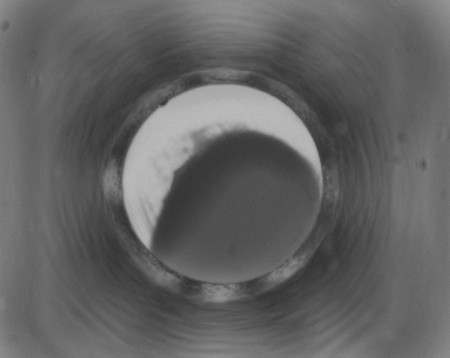 X0000084050143200703161906