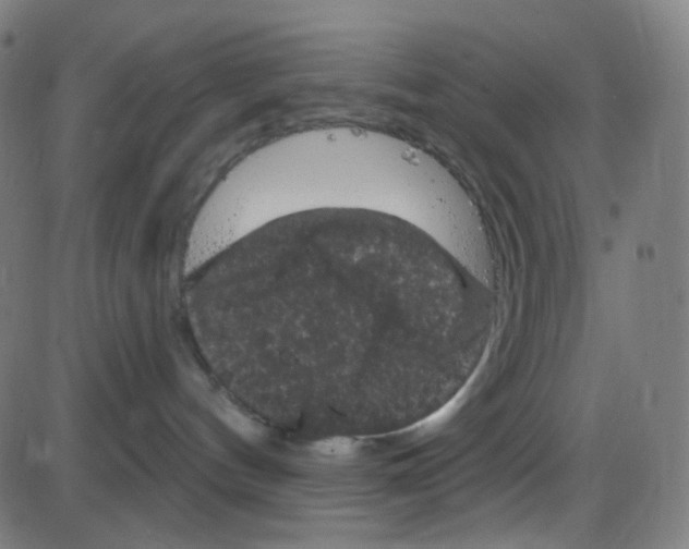 X0000084050144200703161906