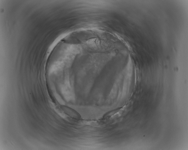 X0000084050147200703161905