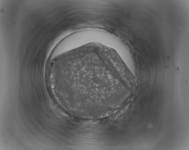 X0000084050148200703161905