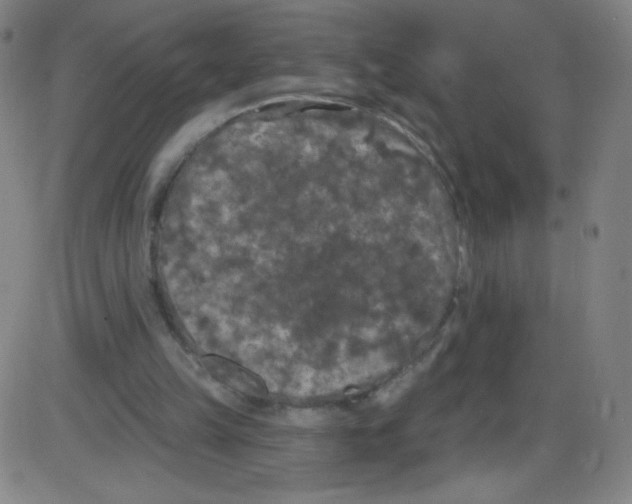 X0000084050149200703161905