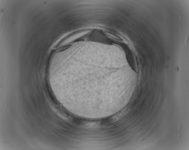 X0000084050155200703161905