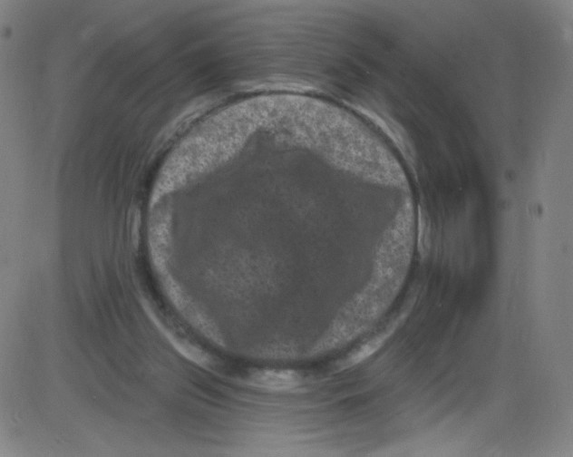 X0000084050157200703161906