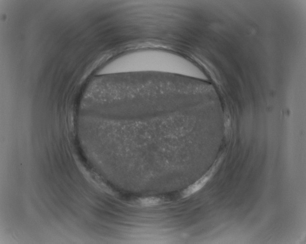 X0000084050158200703161906