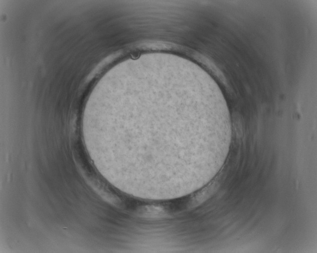 X0000084050159200703161906