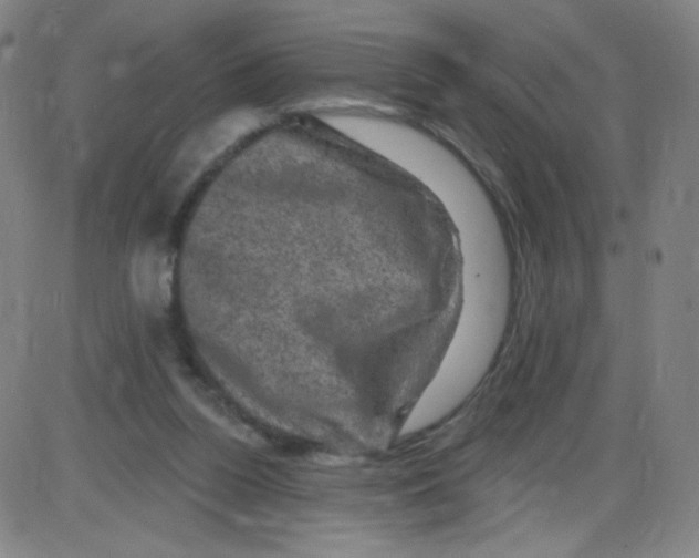 X0000084050160200703161906