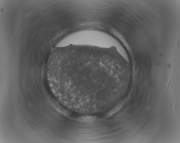 X0000084050161200703161906