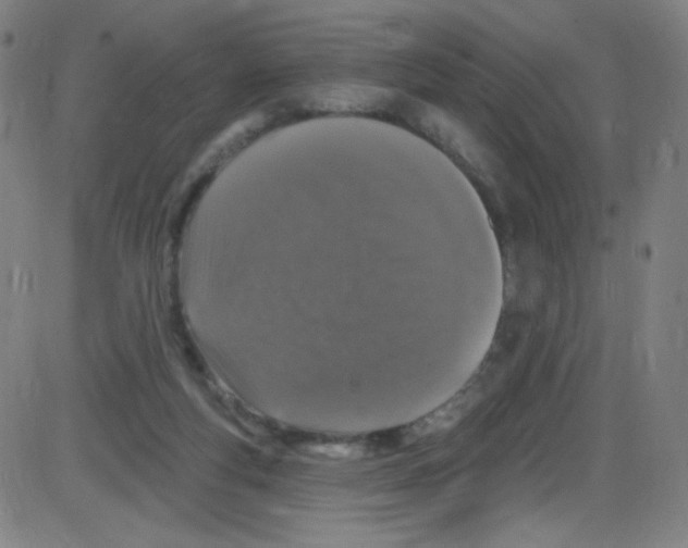 X0000084050163200703161906