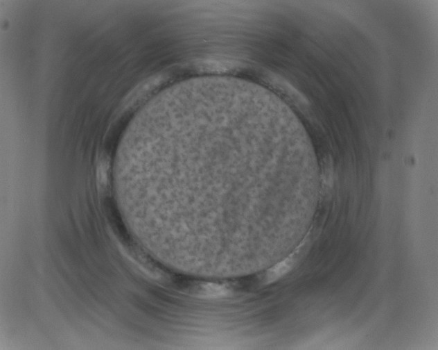 X0000084050166200703161906