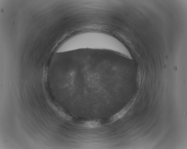 X0000084050168200703161906