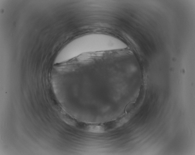 X0000084050169200703161906