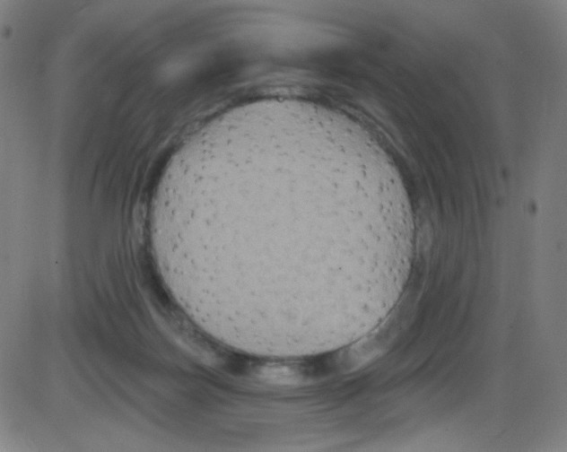 X0000084050171200703161906